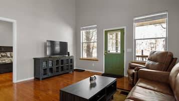 Smart TV, chimenea, reproductor de DVD y libros