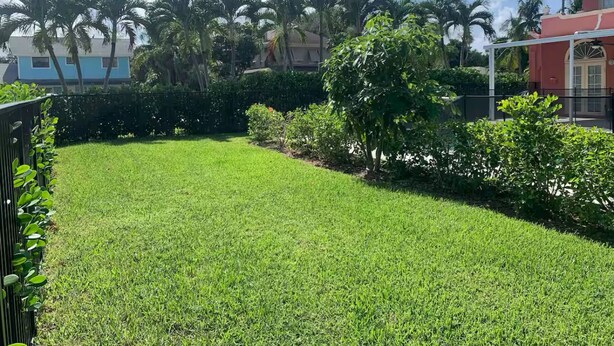 A well-maintained grassy yard with palm trees and a house in the background.