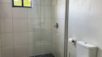 Chuveiro com porta de vidro, vaso sanitário e uma pequena janela.