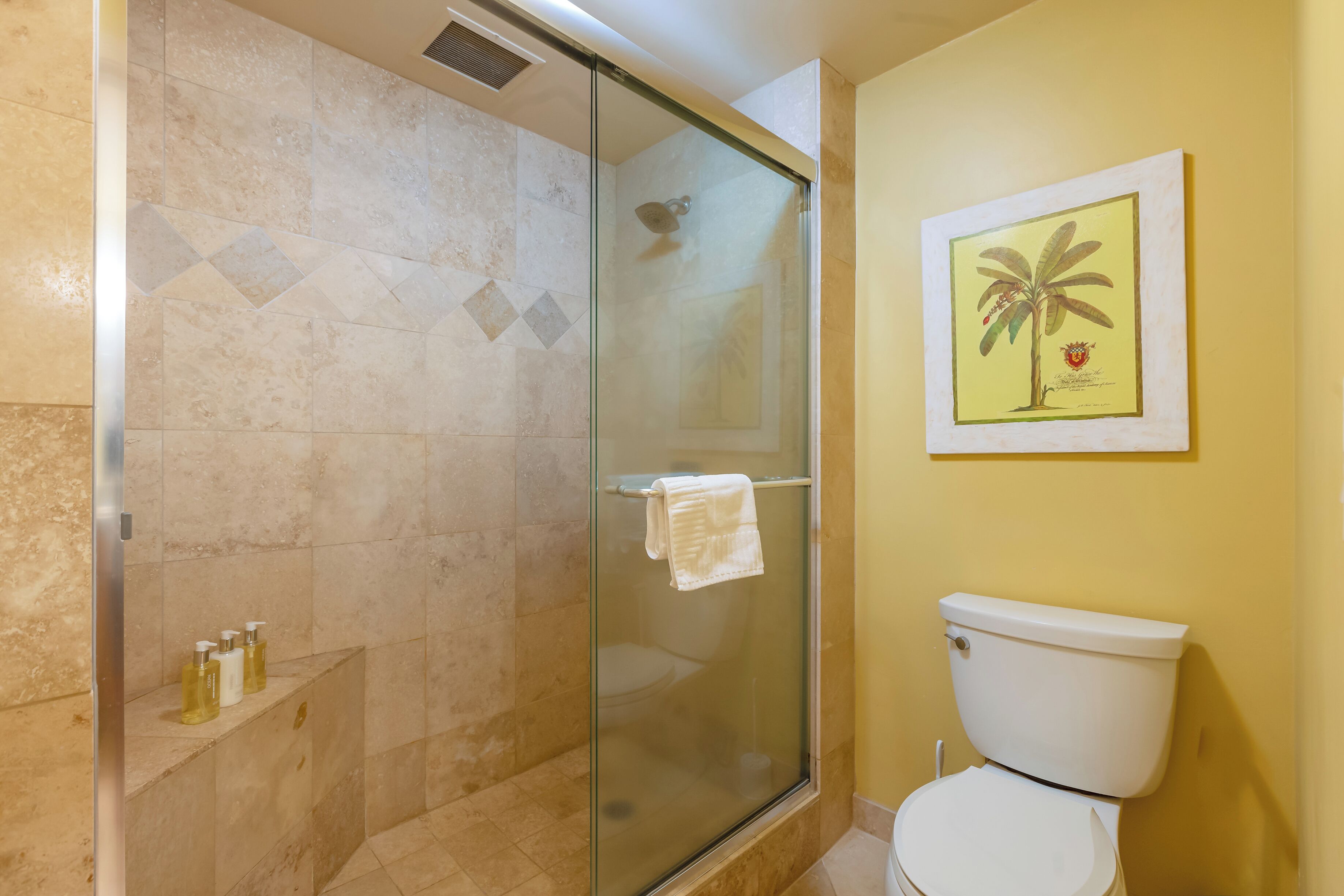 Hair dryer, towels, soap, shampoo