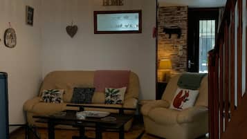 Smart TV, fireplace, books