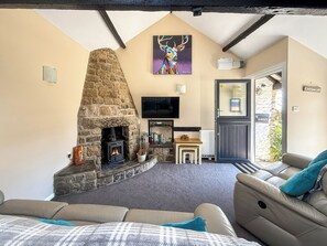 Fireplace - Linney Cottage - UK48986 (Looe)