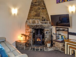 Fireplace - Linney Cottage - UK48986 (Looe)