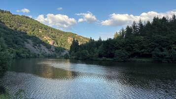 Un lago sereno rodeado de un bosque denso y colinas.