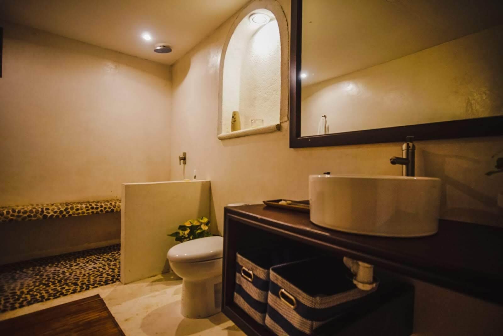 A bathroom with a toilet, a sink, a mirror, and a small plant.