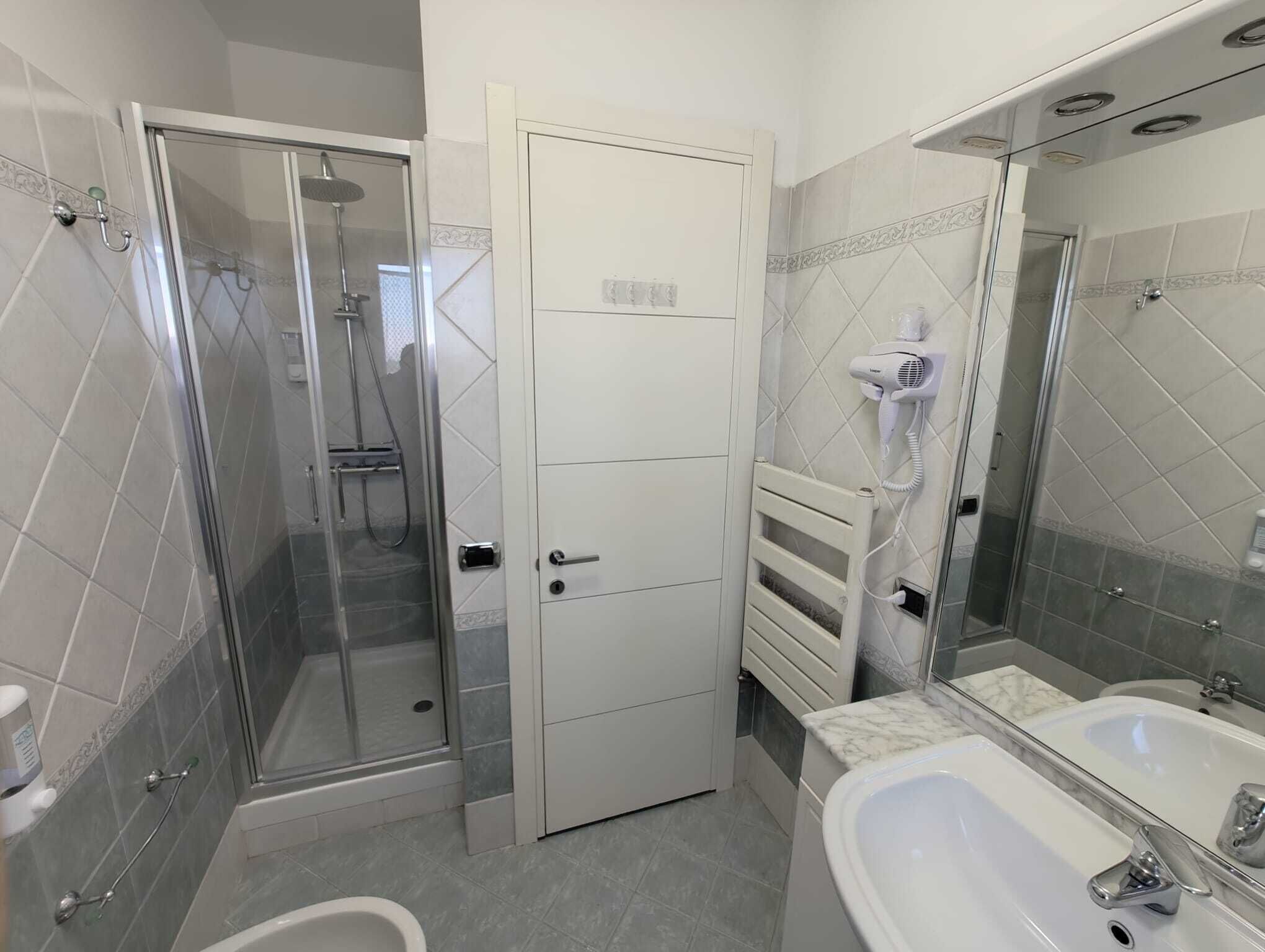 Shower, hair dryer, bidet, towels
