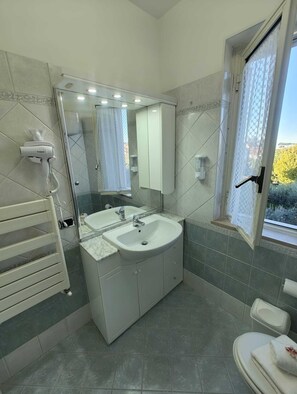Shower, hair dryer, bidet, towels