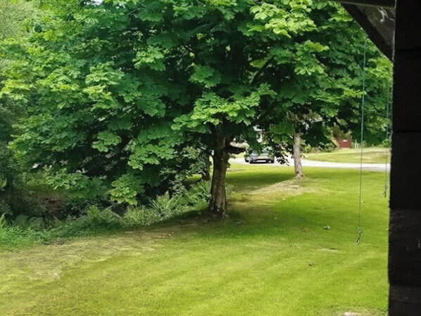 A grassy area with trees and a parked car.