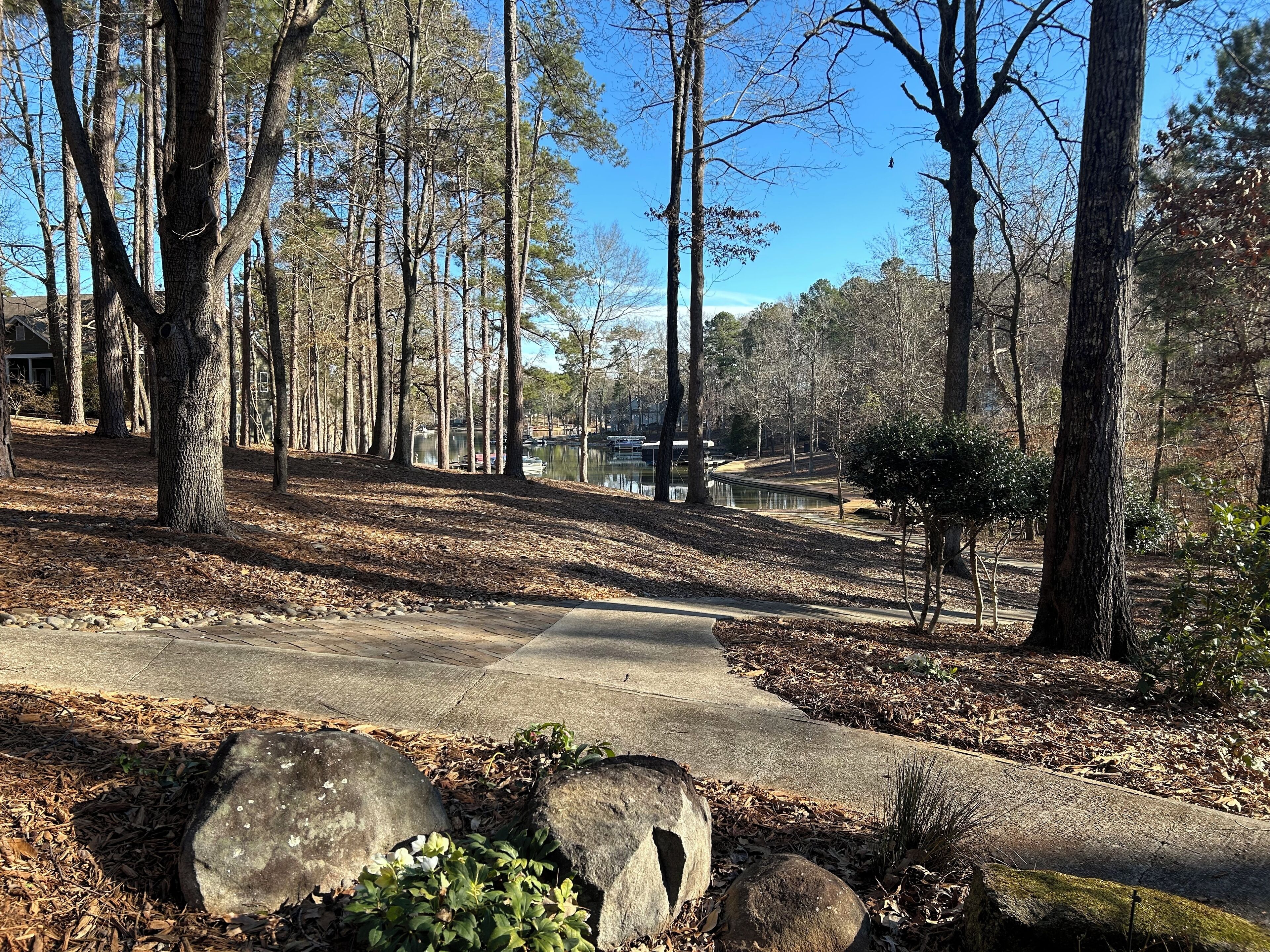 A park with a paved walkway, trees, and a lake.
