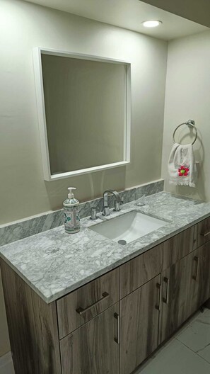 Shower, hair dryer, bidet, towels