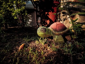 Jardim