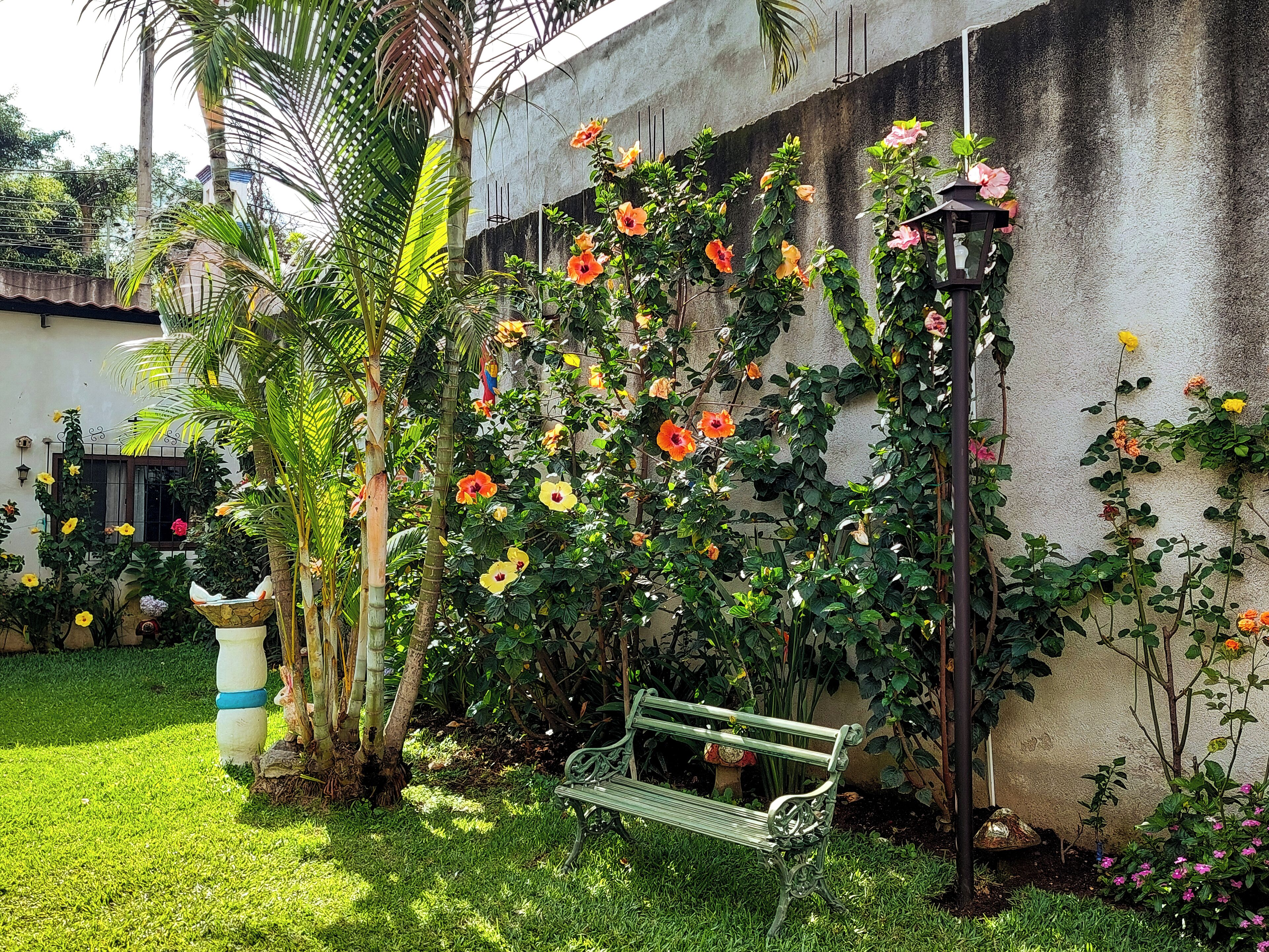 Photo - Hotel Nolasco