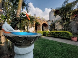 Garden - Hotel Nolasco (Antigua Guatemala)