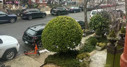 Huge 4-bedroom apt NW DC Walk to Metro, 1 mile to Capitol hill