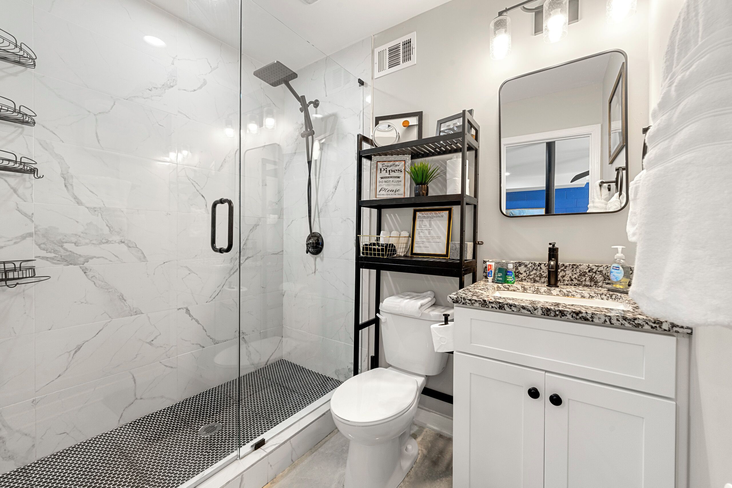 Shower, towels, toilet paper