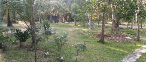 Terrein van de accommodatie