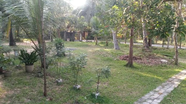 Property grounds - Cozy 2-bedroom house in charming Katunayaka with WiFi, AC (Katunayake)