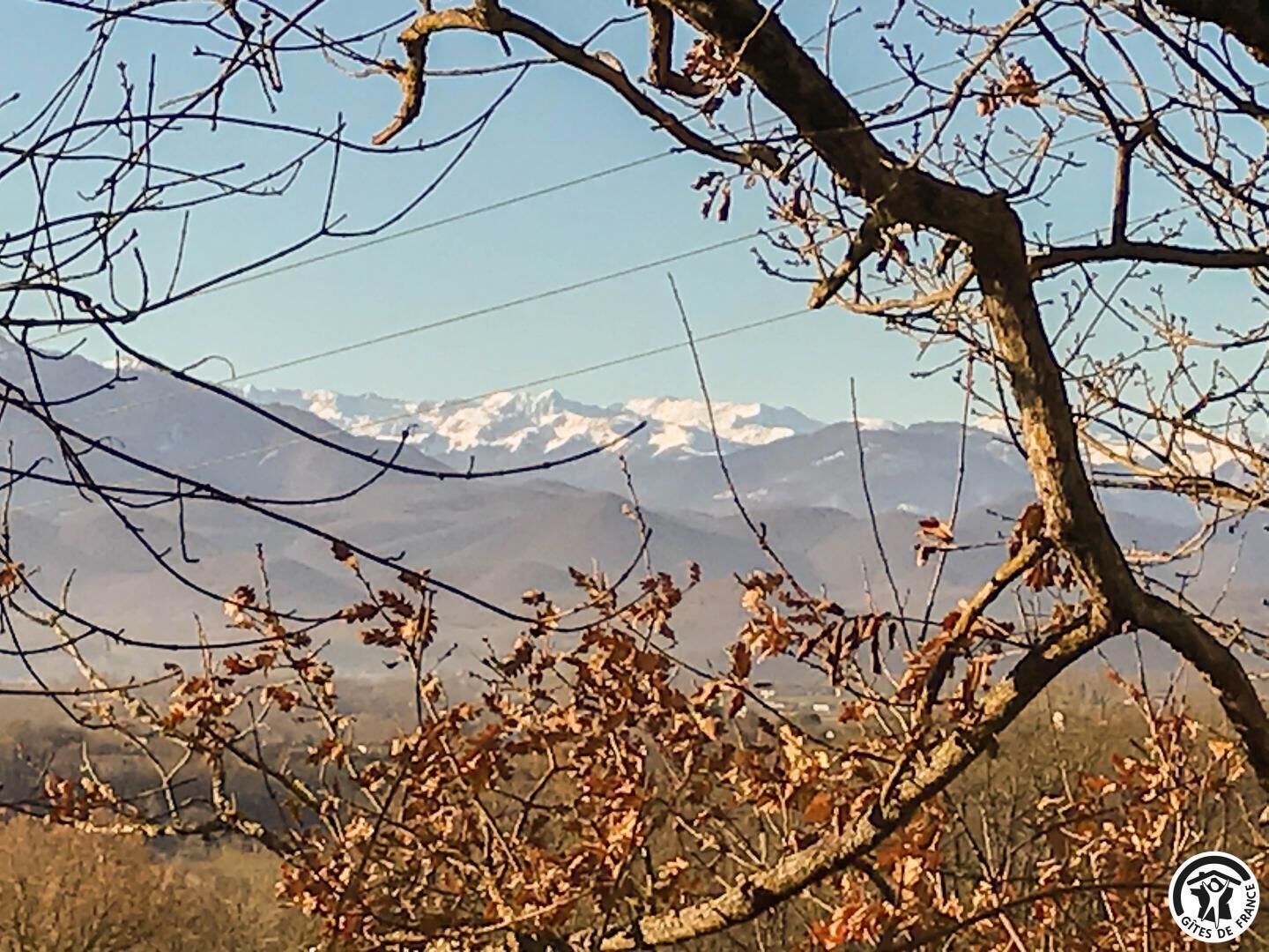Berglandschap met heldere lucht en een tak in de voorgrond.