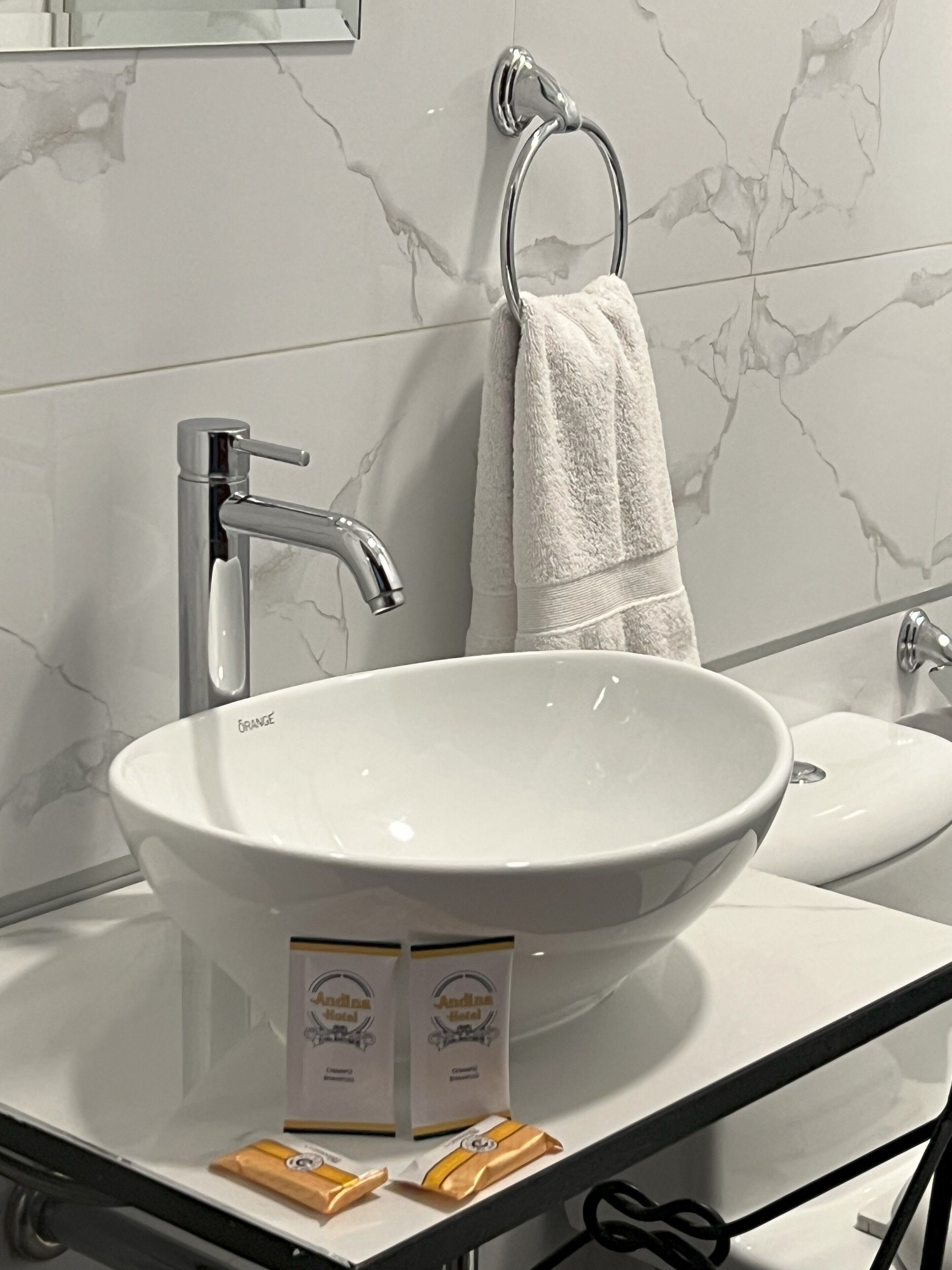 Photo - Hotel Andina