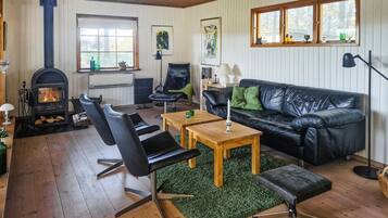 TV, fireplace, DVD player, stereo
