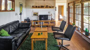 TV, fireplace, DVD player, stereo