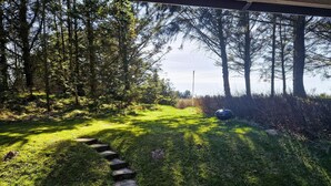 Un sentiero erboso che si snoda attraverso una zona boscosa, con una griglia da barbecue visibile in lontananza.