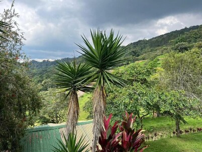 尼罗达奥罗西项目