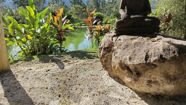 A Buddha statue on a rock by a pond with mountains in the background.
