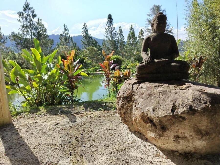 Facciata della struttura