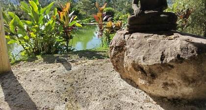 Proyecto Nirodha Orosi