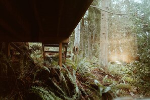 Une structure rustique en bois, située dans une zone boisée où abondent les fougères et les arbres.