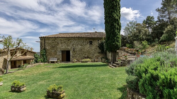 Eksteriør