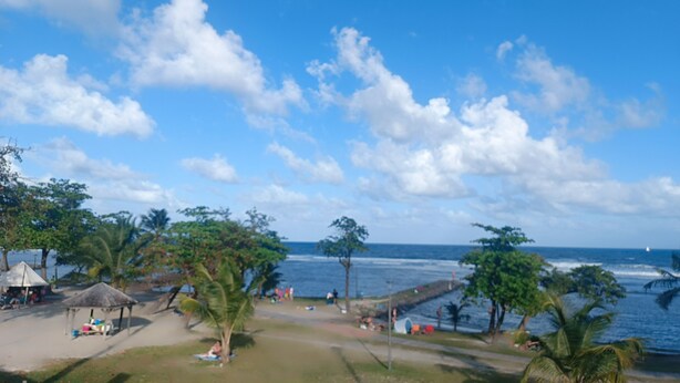 A beach with a clear sky, palm trees, and a small pier. - O'Romarin | Sea & rivers - Chutes du Carbet (Capesterre-Belle-Eau)