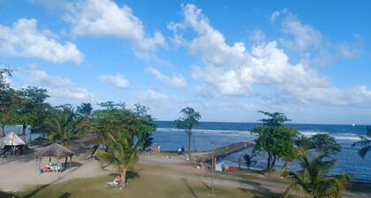 O'Romarin on the road to the Carbet Falls, close to seas and rivers