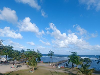 O'Romarin on the road to the Carbet Falls, close to seas and rivers