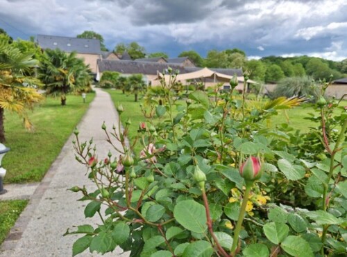Room 'Le Meslay N°1' with Shared Terrace, Shared Garden and Wi-Fi