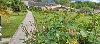 Room 'Le Meslay N°1' with Shared Terrace, Shared Garden and Wi-Fi