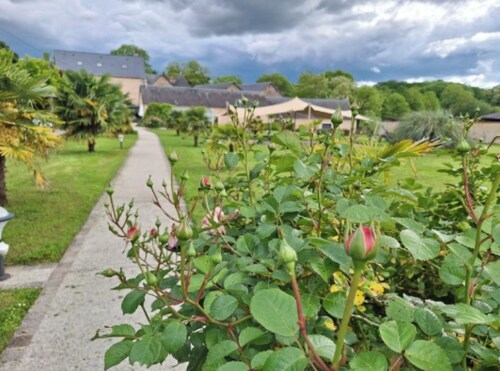 Room 'Le Meslay N°1' with Shared Terrace, Shared Garden and Wi-Fi