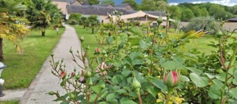 Room 'Le Meslay N°1' with Shared Terrace, Shared Garden and Wi-Fi