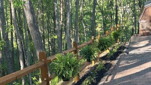 A paved pathway with a wooden fence, surrounded by dense trees and greenery. - Bright New 1 bedroom Retreat (Candler)