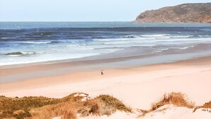 Una playa con una persona caminando sobre la arena, un acantilado rocoso al fondo y vegetación escasa en primer plano.