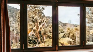 Una ventana con vistas a un jardín lleno de plantas y árboles.