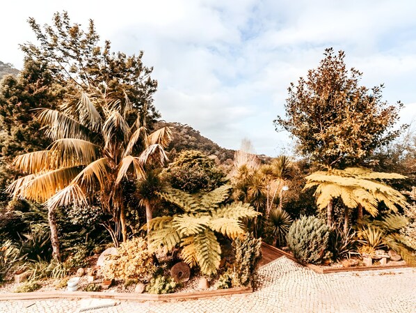 Exterior - Oliveira's House By Gthouse (Sintra)