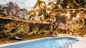 Una piscina con una escalera metálica, rodeada de setos y árboles.