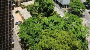 Un edificio alto con diversi piani, una spiaggia con ombrelloni e una strada alberata.