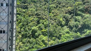 Una veduta attraverso una finestra con una recinzione in rete metallica, che mostra un edificio a sinistra e un pendio ricoperto da una vegetazione fitta sullo sfondo.