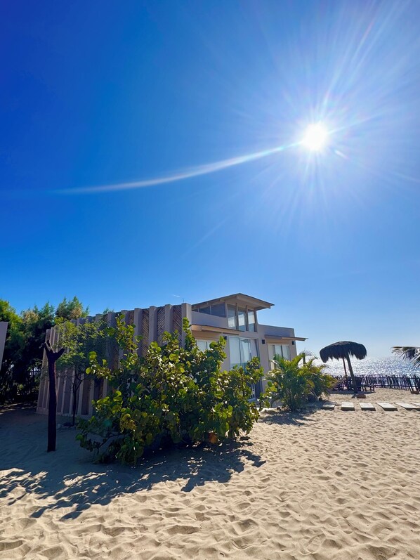 A modern beach house with a large glass facade, surrounded by lush greenery and a sandy beach. - A charming beachfront bungalow overlooking the warm, calm sea. (Canoas)