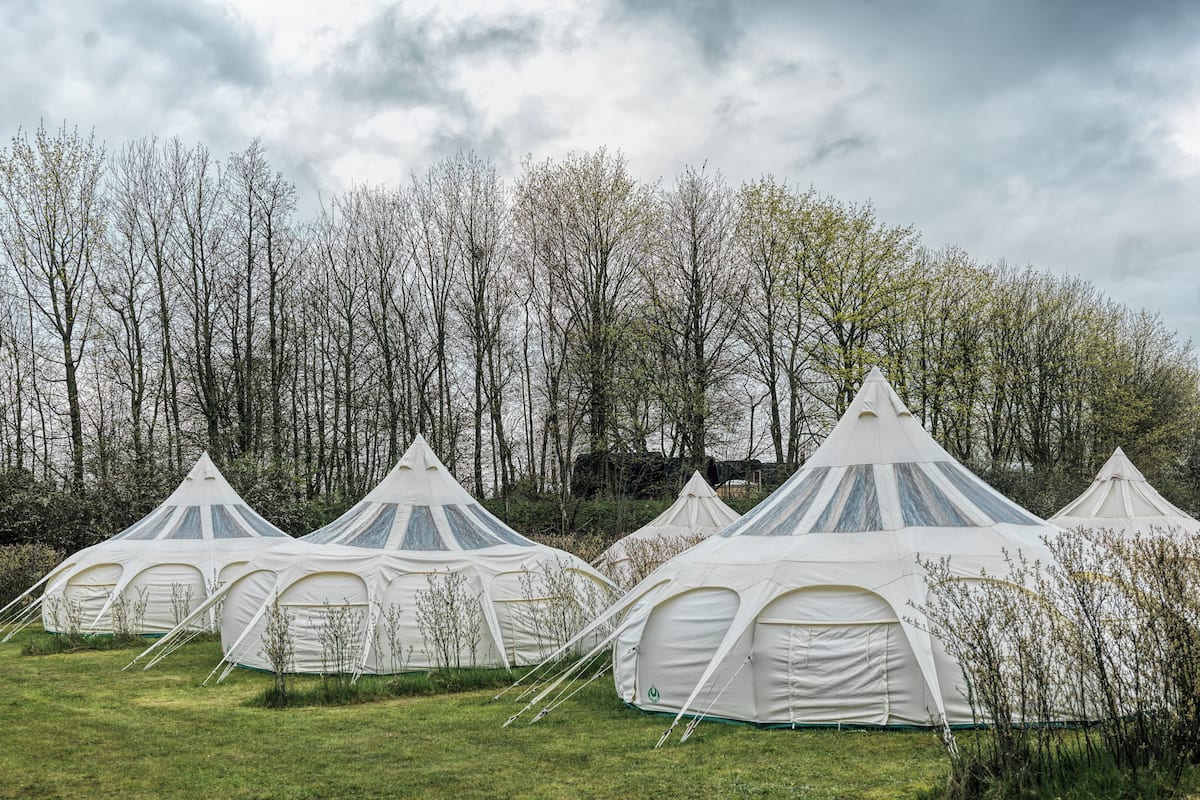 Une rangée de tentes blanches, dotées d’un toit en forme de pyramide, est installée dans un champ verdoyant, avec des arbres en arrière-plan.