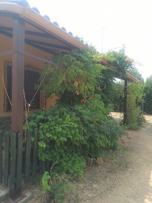 Property grounds - Villa Castellanos near Lagunas de Ruidera (Tomelloso)