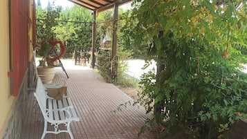 Terras
